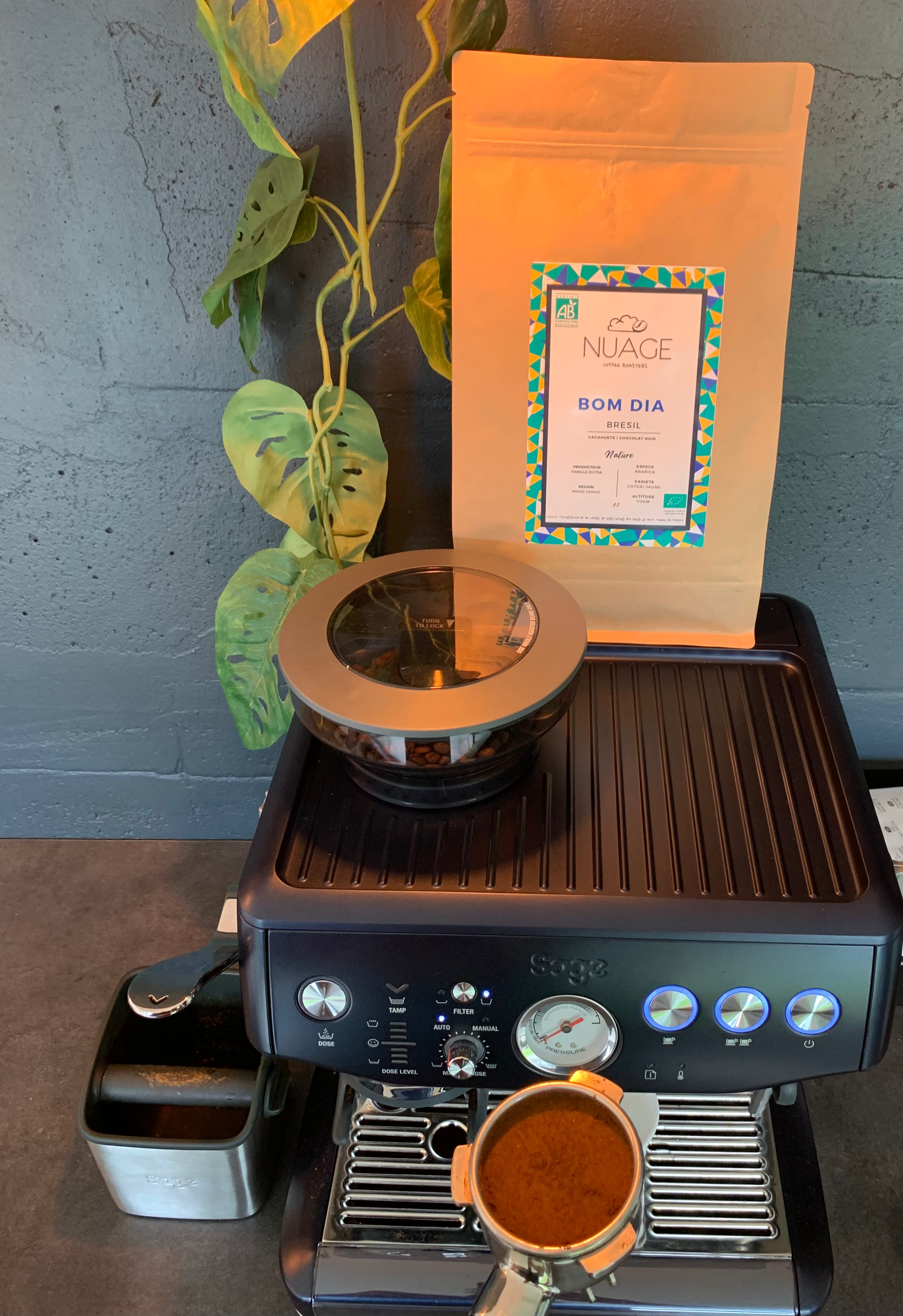 Sachet de café de spécialité bio Bom Dia en situation sur une machine à café – torréfaction artisanale à Hem, pour professionnels et particuliers, Nuage Coffee Roasters