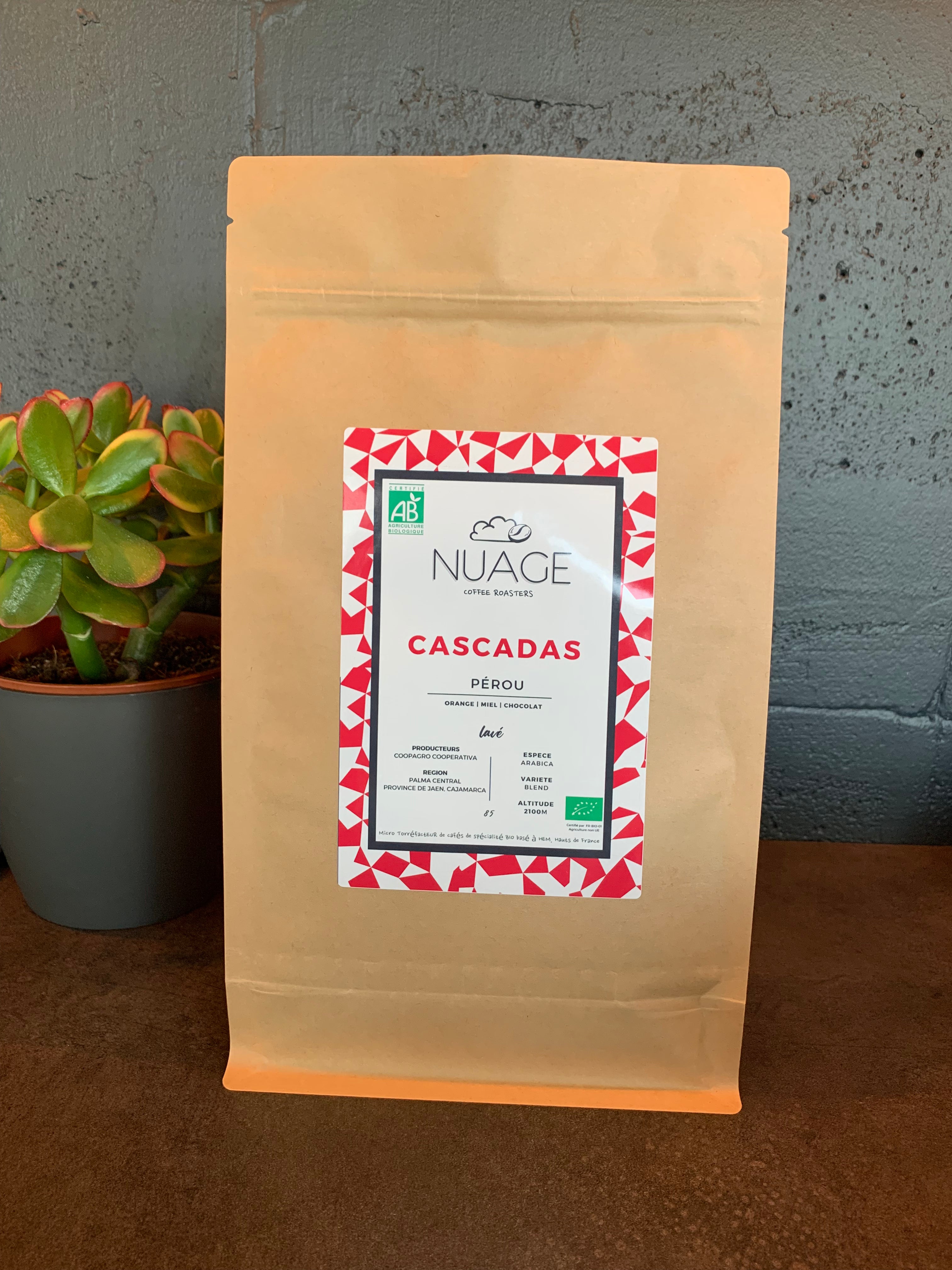 Café de spécialité bio Cascadas Pérou en sachet 1 kg – café en grains torréfié artisanalement à Hem, pour professionnels et particuliers, Nuage Coffee Roasters
