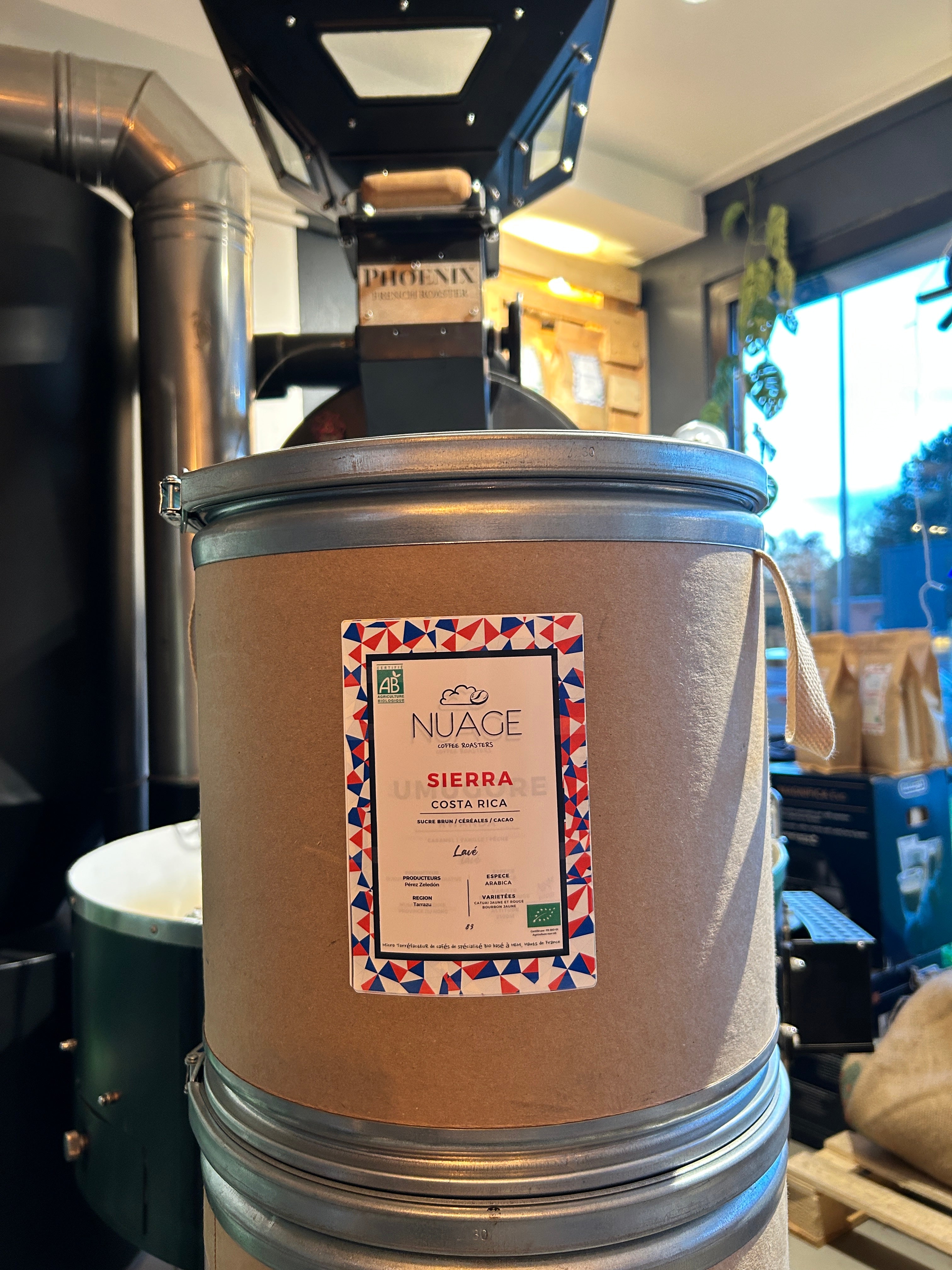 Café de spécialité bio Sierra Costa Rica en vrac 8 kg – café en grain torréfié artisanalement pour professionnels et CHR