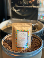 Sachet de café de spécialité bio Terara Éthiopie 250 g entouré de grains de café – torréfaction artisanale à Hem, pour professionnels et particuliers, Nuage Coffee Roasters