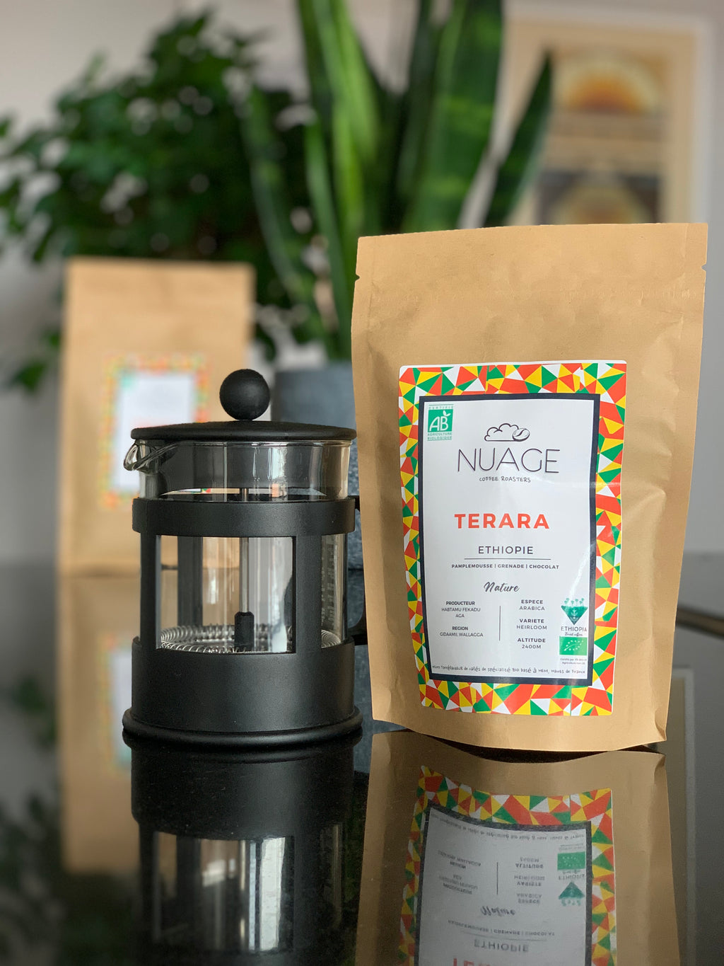 Café de spécialité bio Terara Éthiopie en sachet 250 g – café en grains torréfié artisanalement à Hem, pour professionnels et particuliers, Nuage Coffee Roasters