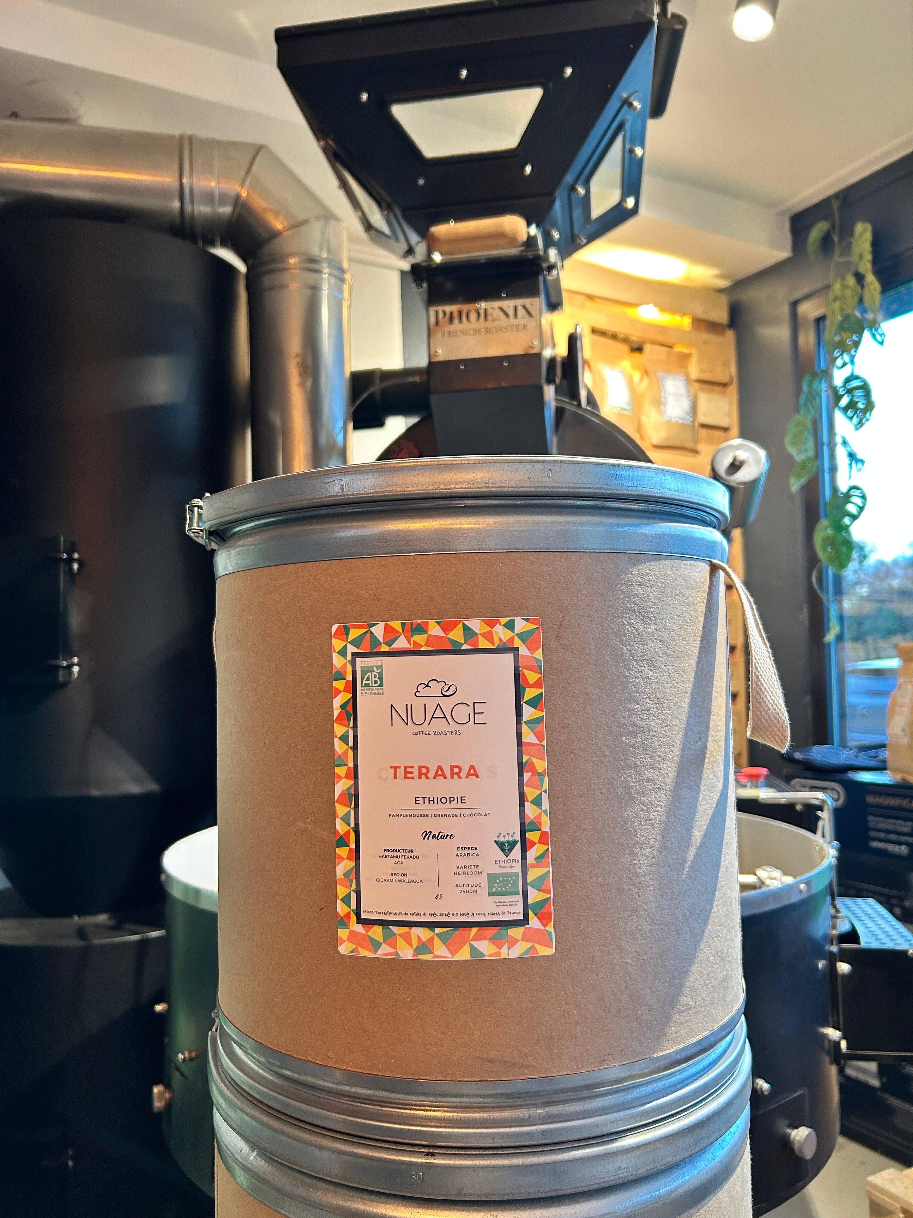 Café de spécialité bio Terara Éthiopie en vrac 8 kg – café en grain pour professionnels et CHR, torréfié artisanalement à Hem