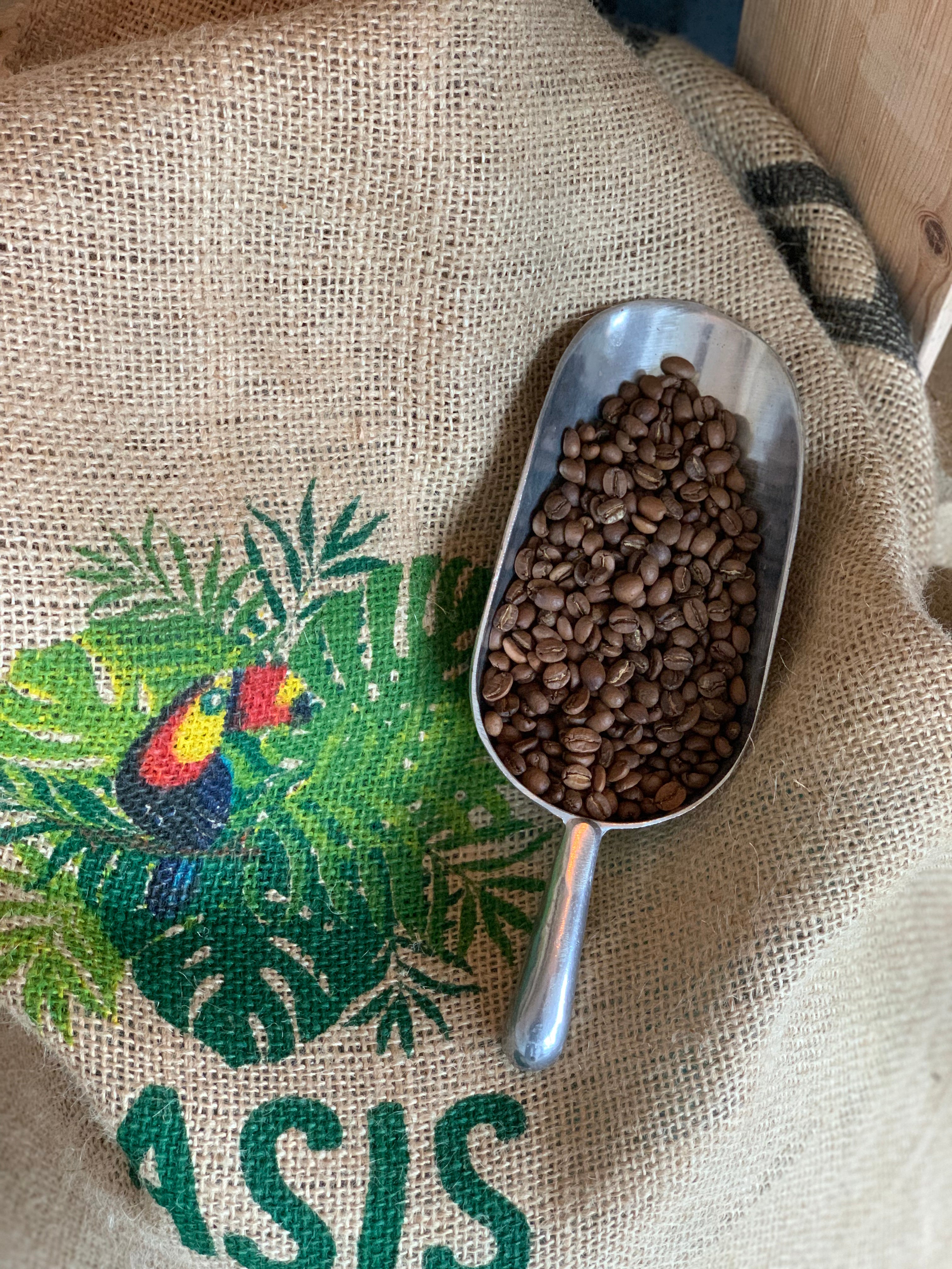 Pelle remplie de grains de café de spécialité posée sur un sac de jute typique de l’importation – sélection artisanale et torréfaction à Hem, Nuage Coffee Roasters