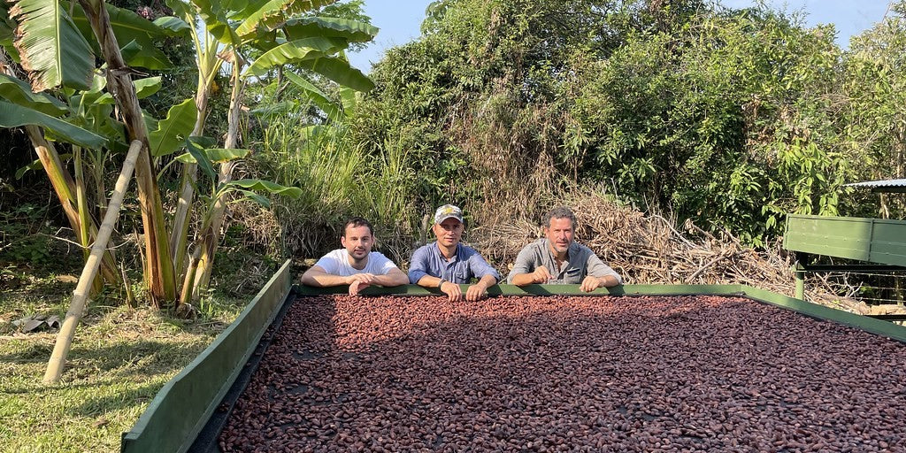 Producteur de café de spécialité sur son exploitation – savoir-faire, traçabilité et sélection artisanale, Nuage Coffee Roasters